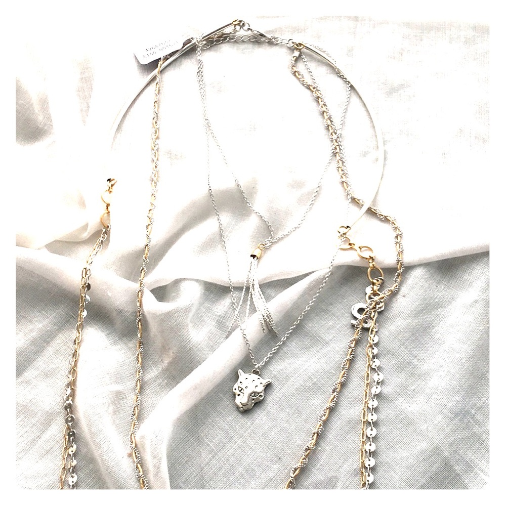 Free People Silver/Gold Tasseled Layered Necklace - Picture 6 of 8